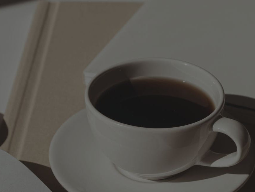 Google Shopping Ads for Beginners: A Simple Guide for Shopify Stores